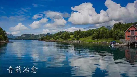 360视频