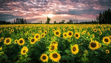  星空乐娱大厅正版微信拼三房卡哪里有”详细介绍房卡使用方式