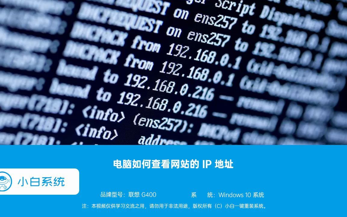 如何查看网页ip地址？