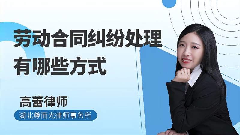 劳动合同争议律师审核