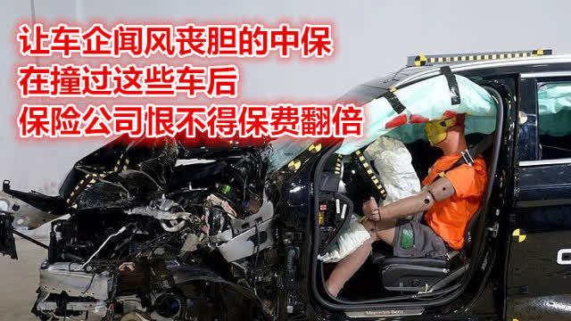 中保公司简介