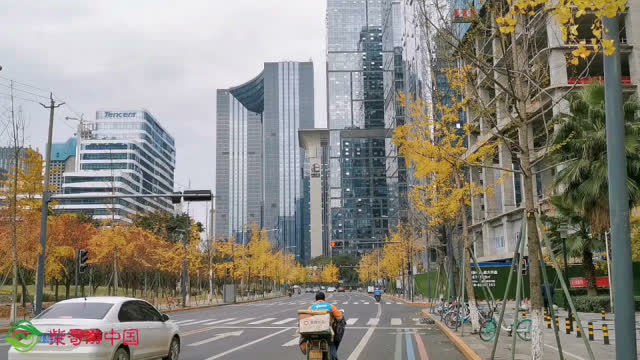 阿里巴巴的总部在那个城市？