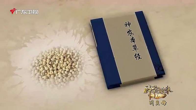 浙贝母炖雪梨做法？