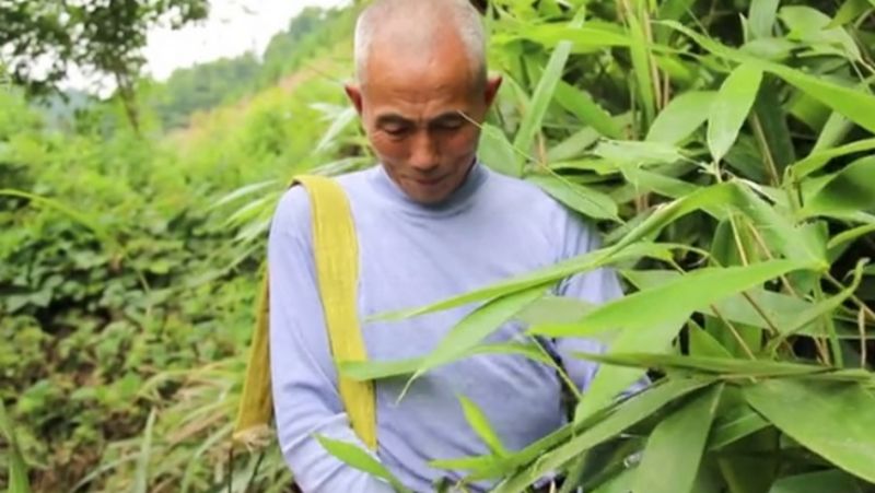 昊禹·稻花乡里景区地址在哪里,乡里是哪里图3