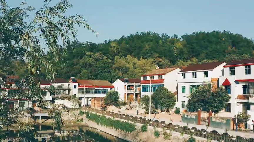 龙珠村