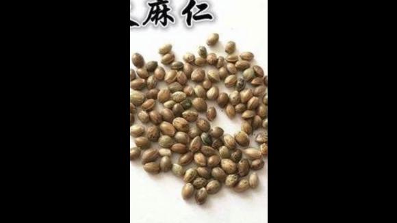 火麻仁的好处在哪(火麻有哪些什么功效？)