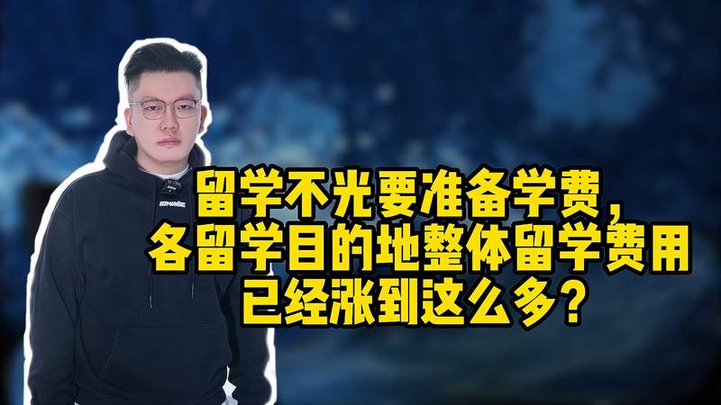 附近留学项目怎么收费(留学机构怎样收费)