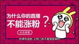 快手主页服务怎样找到(快手主页服务怎么挂在主页上)