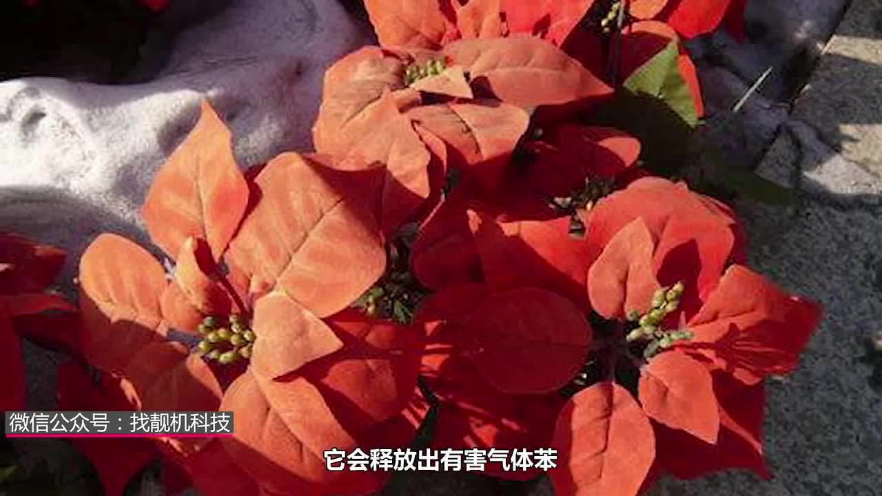 客厅能不能摆放假花