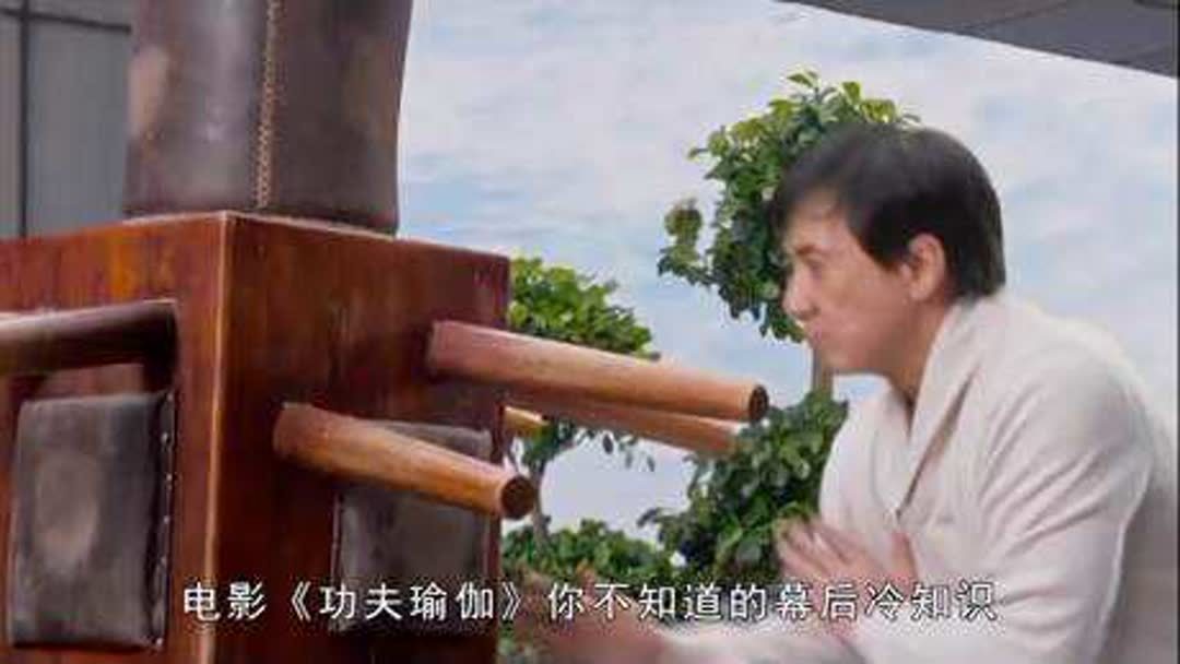 电影功夫瑜伽介绍