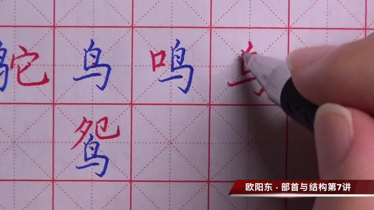 鸟的部首和结构(07/04更新)