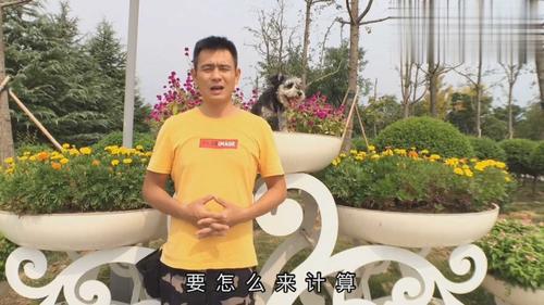 犬一年发情的时间？(12/28)