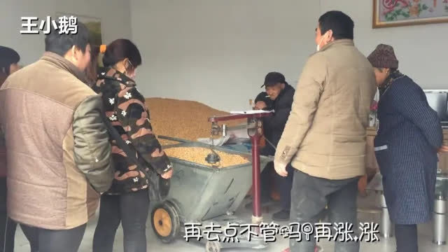 卖玉米算账怎么算？(12/28)