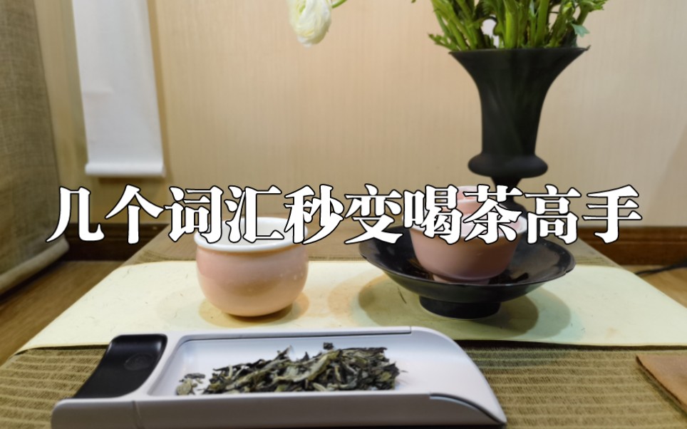 什么白茶四字词？