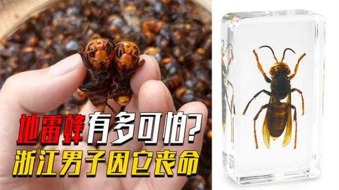 蜂子蜇人吃什么药好使(被蜜蜂蛰了吃什么药好？)