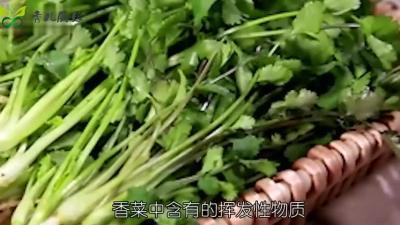 香菜不能和什么同食