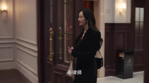 女演员律师电视剧有哪些(很多年前的一部电视剧刘松仁演的法官米雪演..)