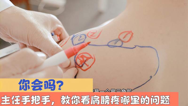 右肩疼痛部位对照表(07/05更新)