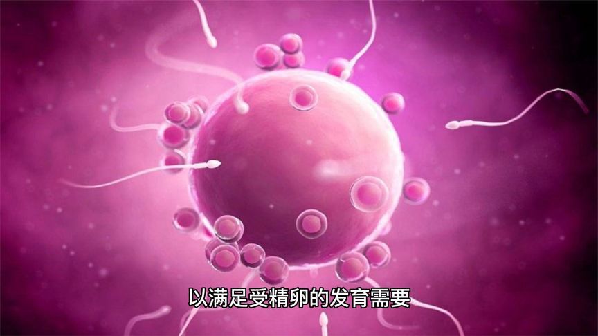 子宫内膜过薄可能影响胚胎着床，降低怀孕成功率，需及时就医评估与调理。