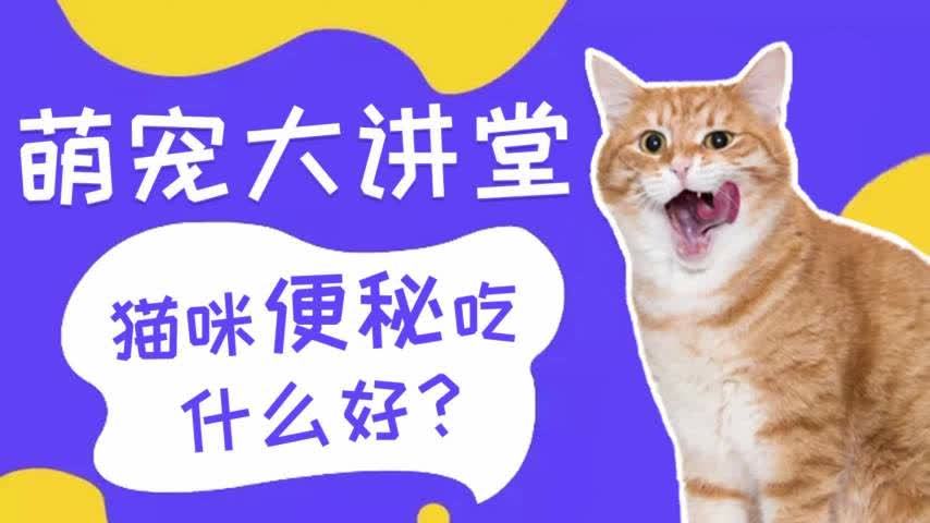 给猫吃什么药可以快速排便(猫便秘吃什么排便快，怎么帮猫咪快速排便)