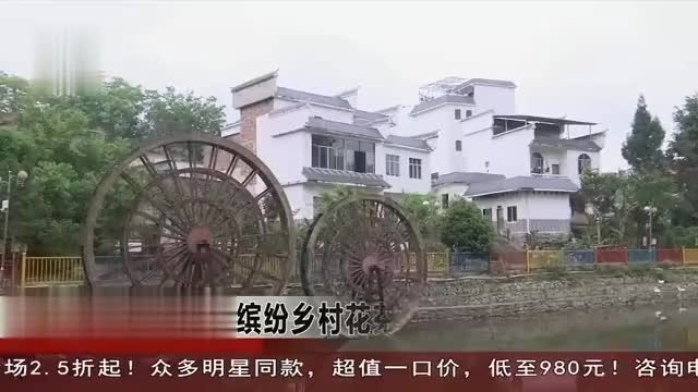 广西河池哪里有花海景区