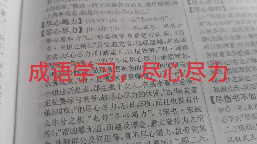 “尽心尽力”的近义词是什么？(同心协力的意思)