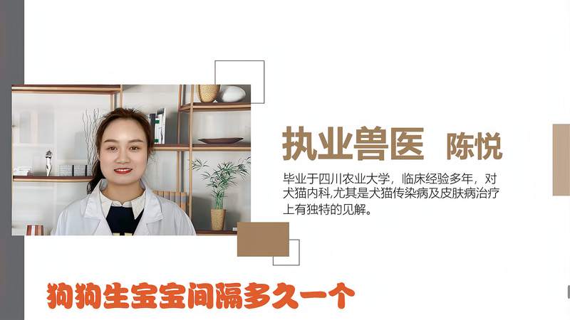 小狗生宝宝要多久?有什么保养？