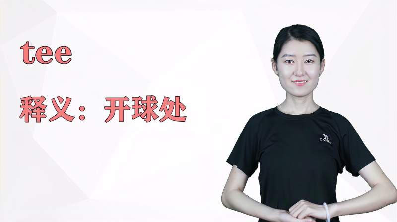 TEE是什么意思
