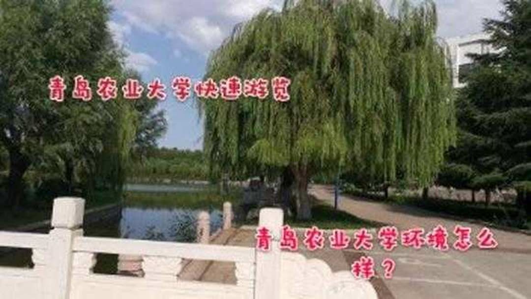 山东农业大学青岛校区校址？