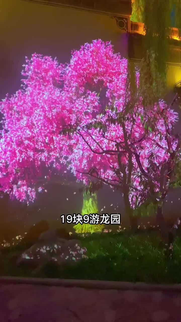 临沂晚上夜景哪里好玩(03/23更新)