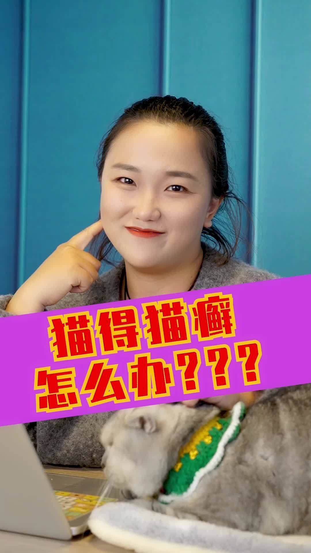 幼猫猫癣严重能治好吗，猫癣怎么治好得快？