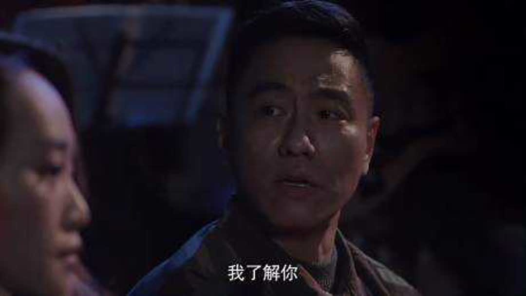 一树桃花开电视剧介绍