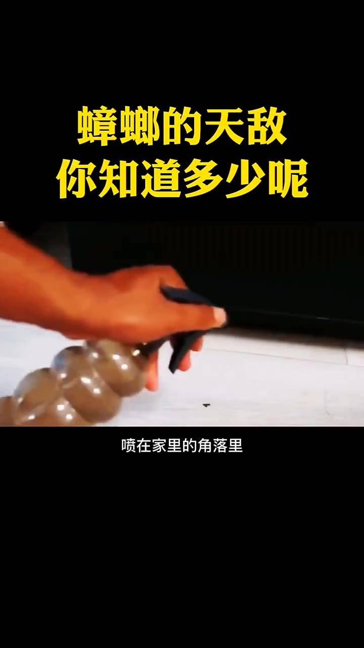 怎样可以让家里不生蟑螂？