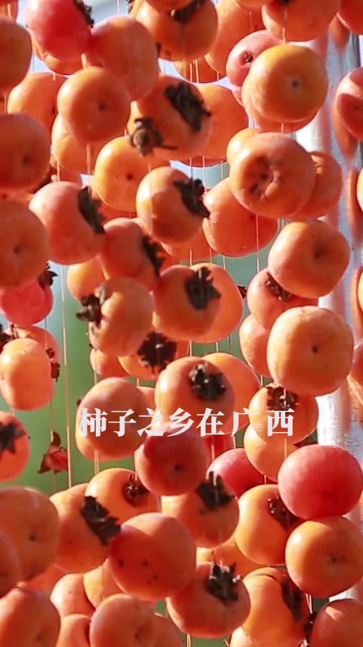 柿子之乡是哪里(07/03更新)
