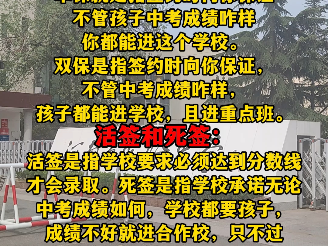 中考签约后不够分数线(陈经纶中学中考分数线)