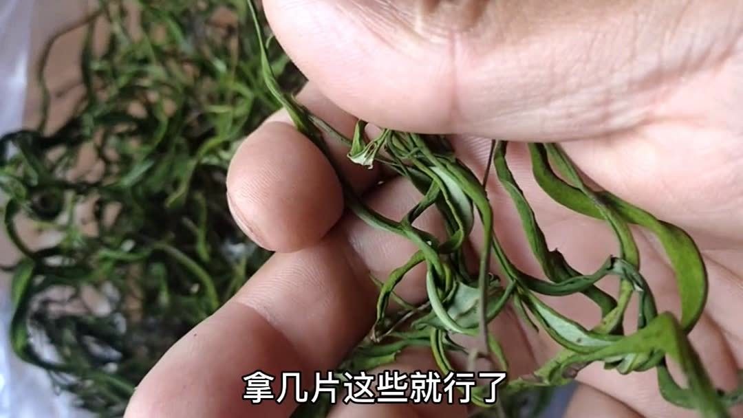 石韦的功效与作用