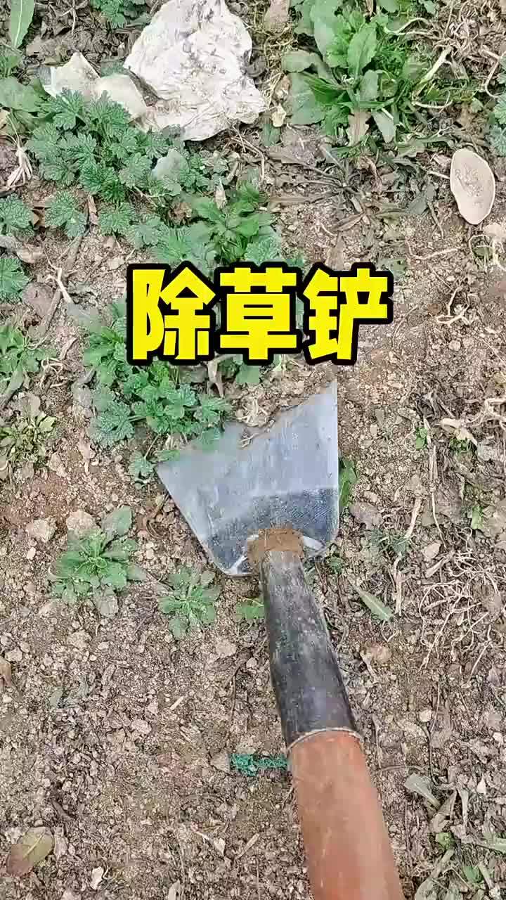 田园除草最有效的方法