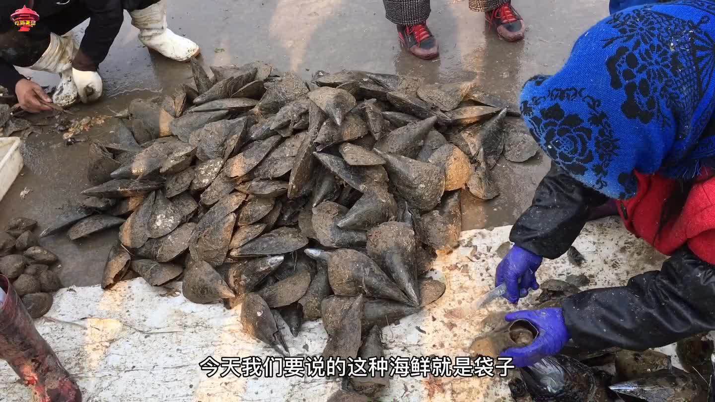 山东贝类最便宜海鲜价格