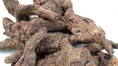 生地的功效与作用