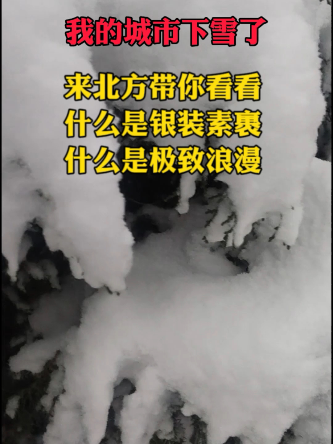 银装素裹的正确解释(07/01更新)