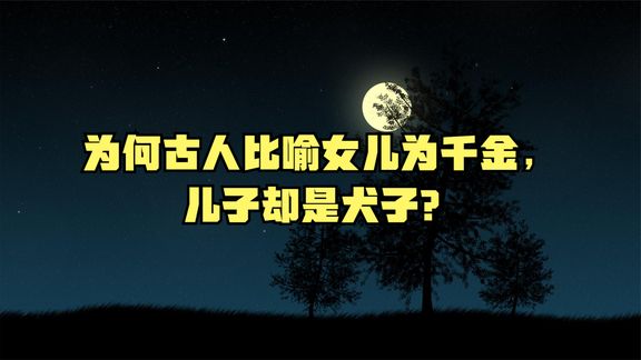 犬子比喻什么人