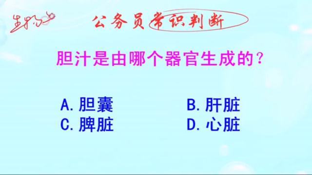 胆汁的主要成分及作用(胆汁的成分及各成分作用)