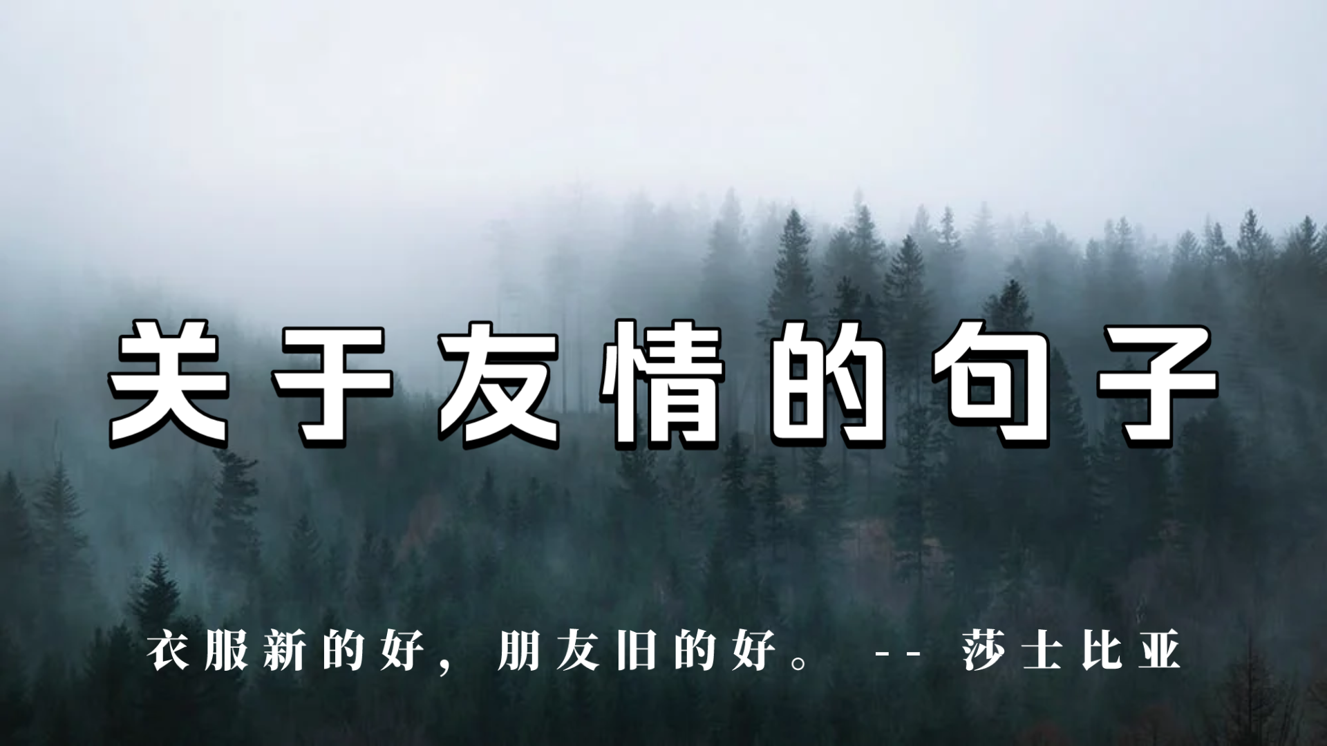 友谊造句(03/15更新)