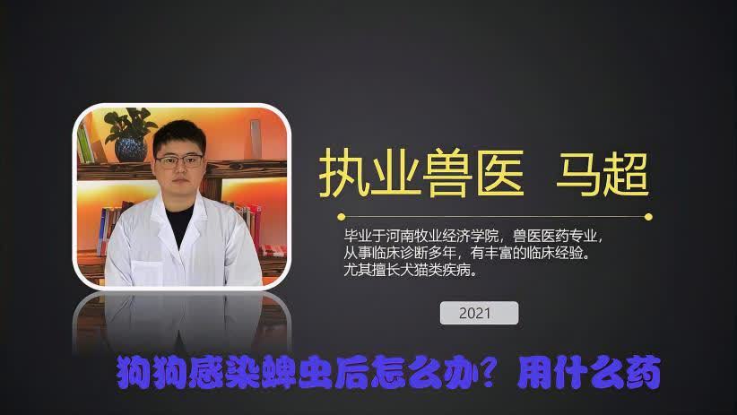 狗狗米状虫怎么治疗(我家小狗2个月了，拉屎的时侯拉出白色的，..)