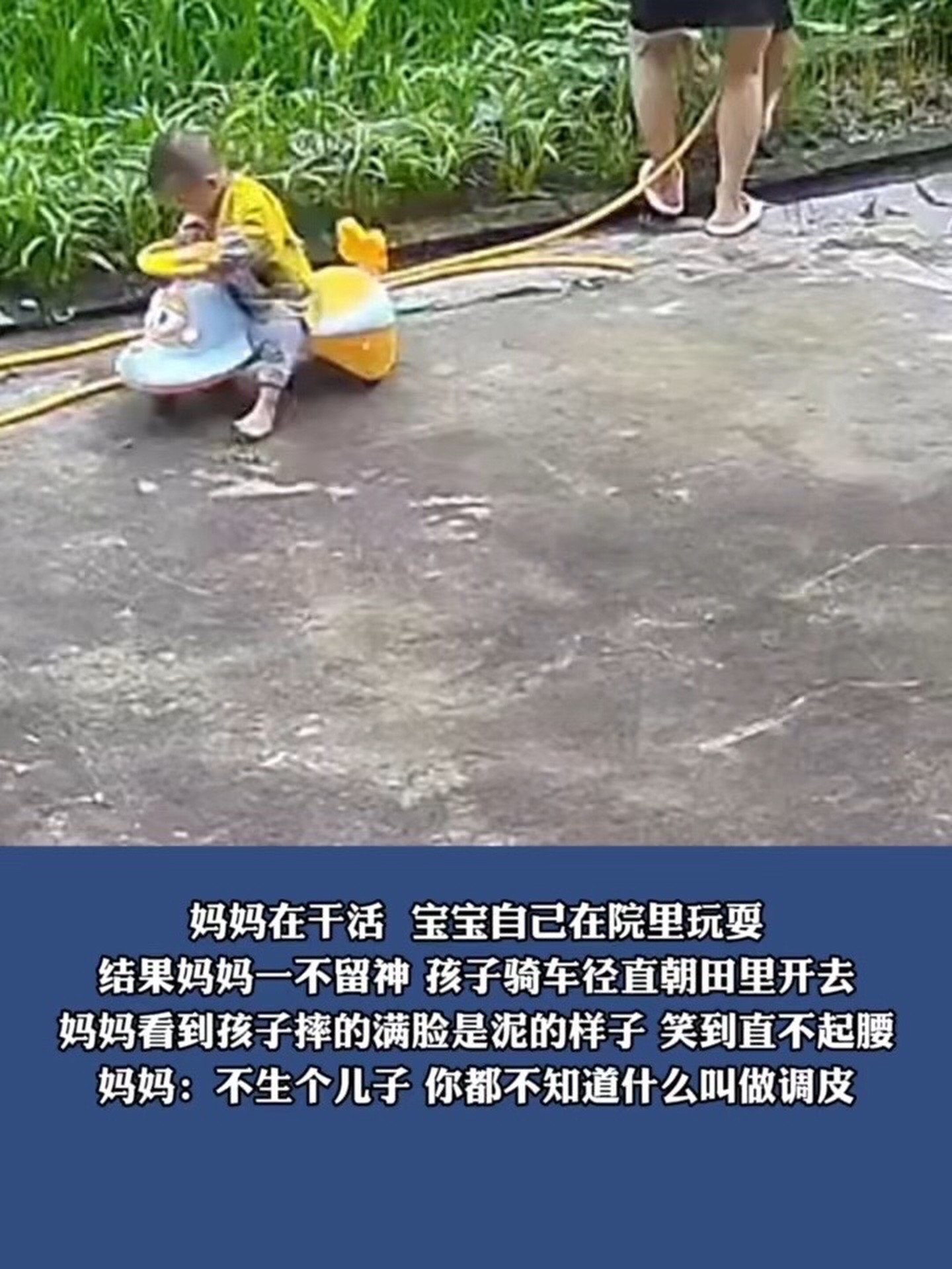 调皮的反义词