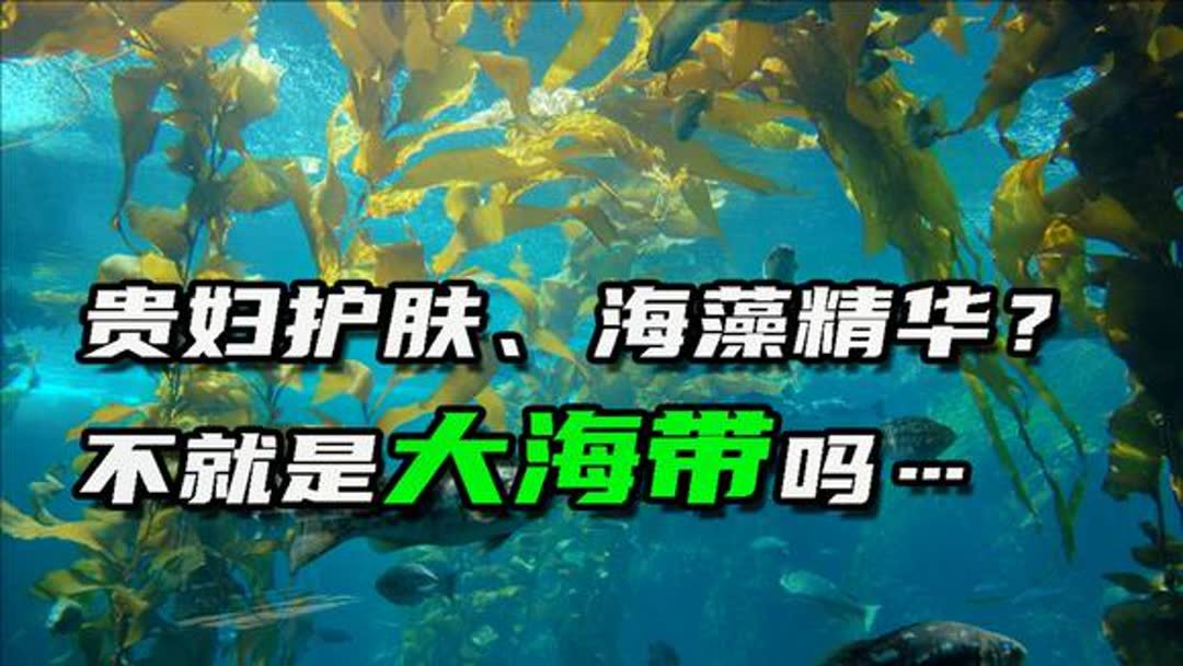 大多数病毒的化学成分是