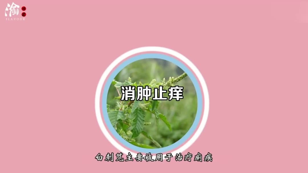 吃垂盆草能治疗痔疮吗？