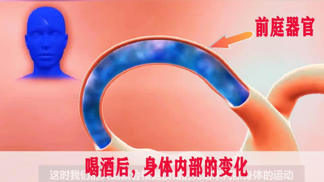 前庭器官主要负责感知头部的位置和运动状态，当它受到积水的压力刺激时，就会向大脑发送错误的信号