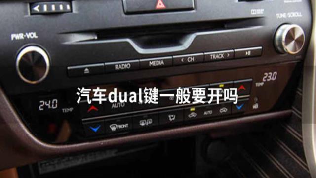 dual是什么意思车上的(汽车空调的控制键上AUTO和DUAL是什么意思?)