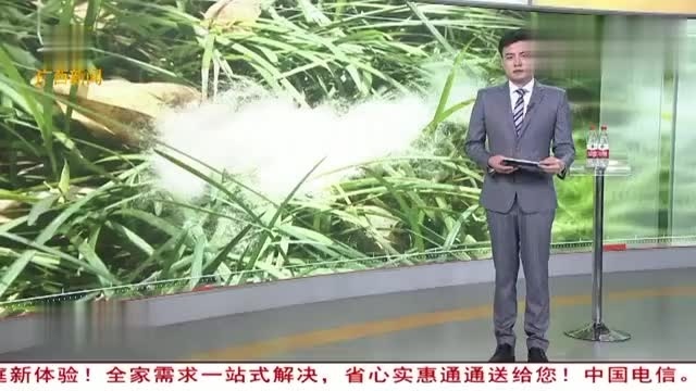 岩棉过敏怎么处理最有效(岩棉造成身体痒痒怎么办怎样处理)